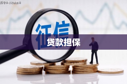 改则贷款担保