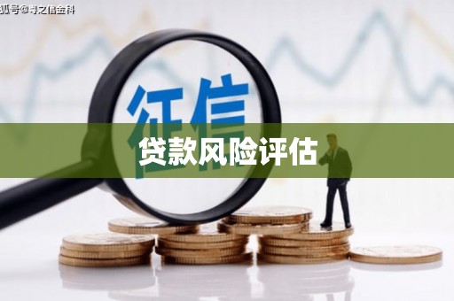 改则贷款风险评估