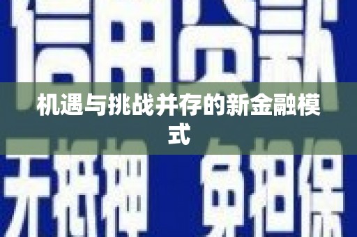 改则机遇与挑战并存的新金融模式