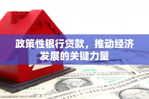 改则政策性银行贷款，推动经济发展的关键力量