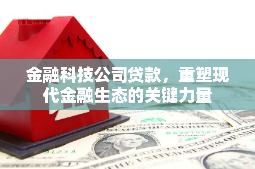 改则金融科技公司贷款，重塑现代金融生态的关键力量