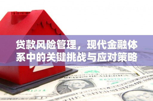 改则贷款风险管理，现代金融体系中的关键挑战与应对策略