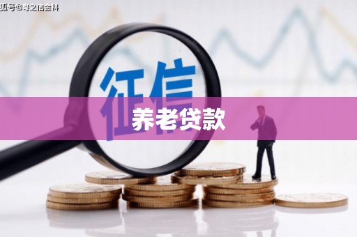 改则养老贷款