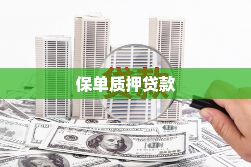 改则保单质押贷款