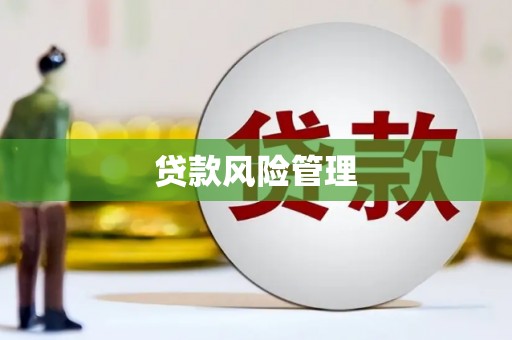 改则贷款风险管理