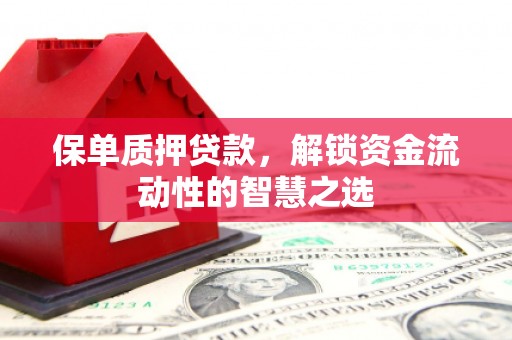 改则保单质押贷款，解锁资金流动性的智慧之选